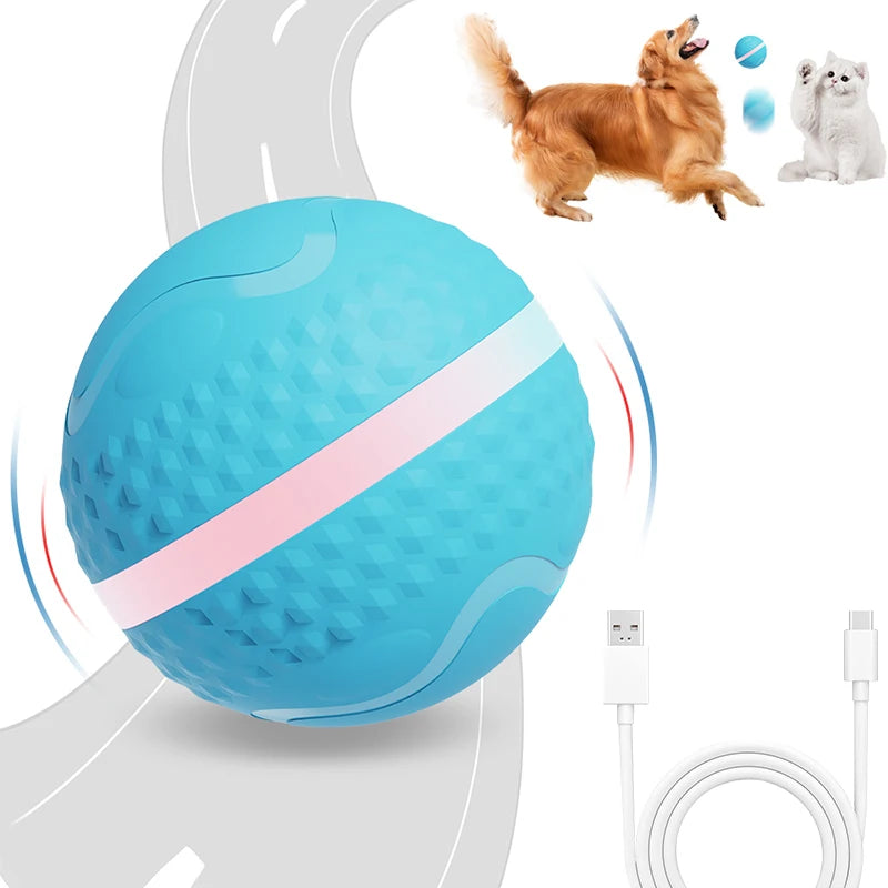 Wizard Ball Interactive Toy